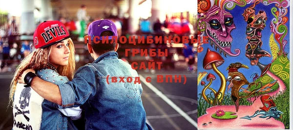ГАЛЛЮЦИНОГЕННЫЕ ГРИБЫ Михайловка