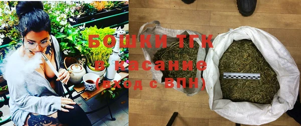 шишки Медногорск