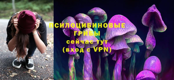 ГАЛЛЮЦИНОГЕННЫЕ ГРИБЫ Михайловка