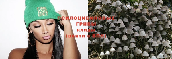 шишки Медногорск