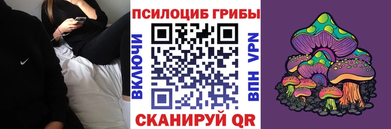 Псилоцибиновые грибы мицелий Карабаш